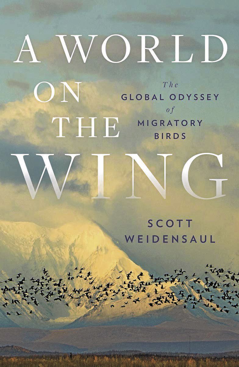_A World on the Wing_CMYK.jpg